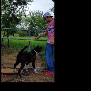 Meet your Posher, Erik